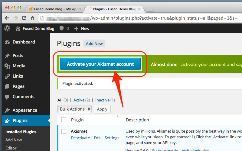 Login to your WordPress Dashboard