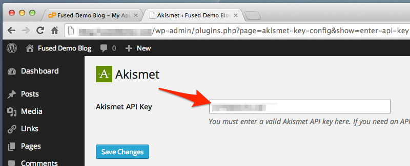 Login to your WordPress Dashboard