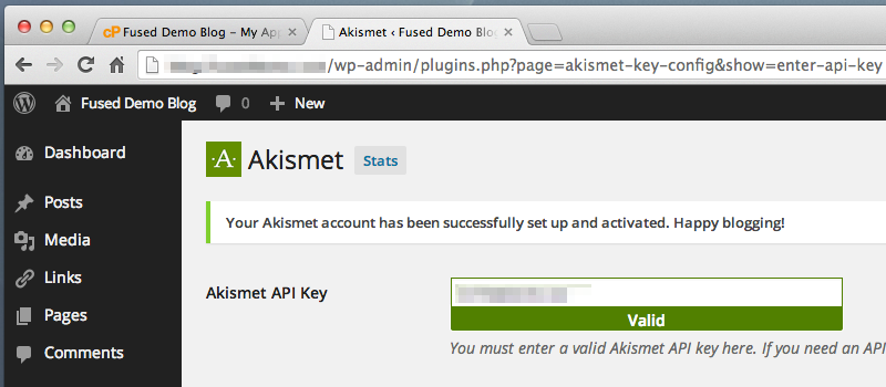 Akismet showing a valid API key and successful activation message